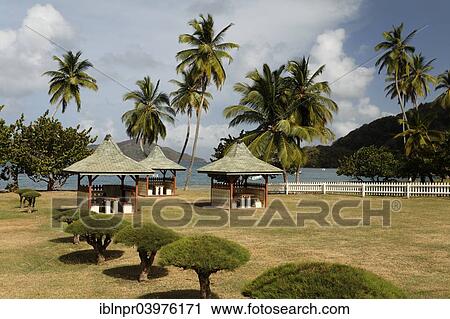 "Barbecue huts on the beach, coconut trees, Speyside, Tobago, Trinidad and Tobago, North America" View Large Photo Image Stock Image - "Barbecue huts on the beach, coconut trees, Speyside, Tobago, Trinidad and Tobago, North America". Fotosearch