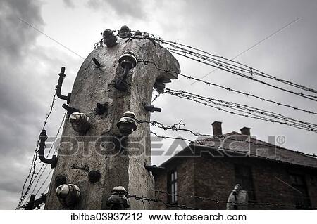 "Barbed wire fence, Auschwitz I extermination camp, Oswiecim, Poland, Oswiecim, Poland, Europe" View Large Photo Image Stock Image - "Barbed wire fence, Auschwitz I extermination camp, Oswiecim, Poland, Oswiecim, Poland, Europe". Fotosearch