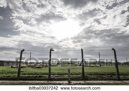 Stock Image - "Barbed wire fence, Auschwitz II-Birkenau extermination camp, Oswiecim, Poland, Europe". Fotosearch