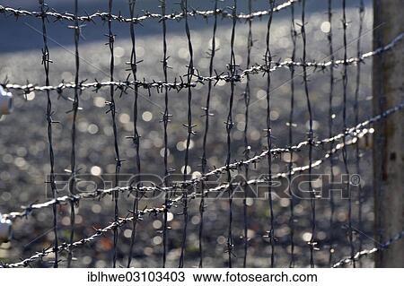 Stock Image - "Barbed wire fence, Neuengamme Concentration Camp Memorial, Neuengamme, Hamburg, Hamburg, Germany, Europe". Fotosearch