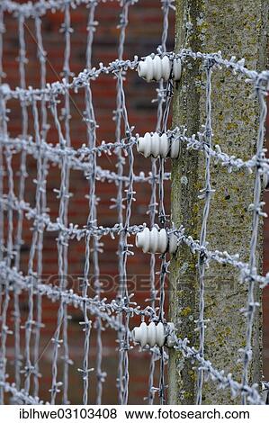 Stock Photo - "Barbed wire fence, Neuengamme Concentration Camp Memorial, Neuengamme, Hamburg, Hamburg, Germany, Europe". Fotosearch
