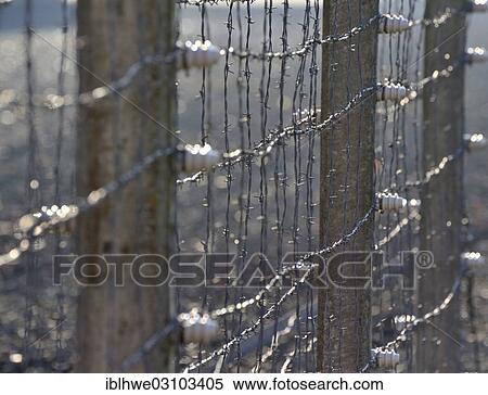 Stock Photography - "Barbed wire fence, Neuengamme Concentration Camp Memorial, Neuengamme, Hamburg, Hamburg, Germany, Europe". Fotosearch