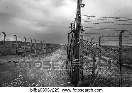 "Barbed wire fences, Auschwitz II-Birkenau extermination camp, Oswiecim, Poland, Europe" View Large Photo Image Stock Photo - "Barbed wire fences, Auschwitz II-Birkenau extermination camp, Oswiecim, Poland, Europe". Fotosearch