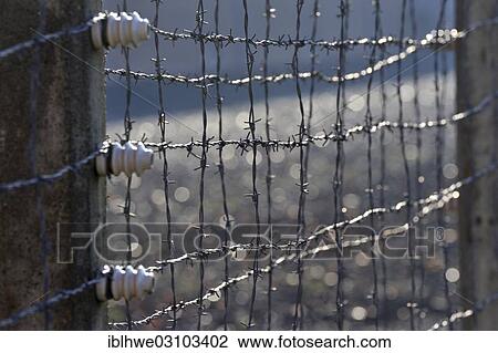Stock Image - "Barbed wire, Neuengamme Concentration Camp Memorial, Neuengamme, Hamburg, Hamburg, Germany, Europe". Fotosearch