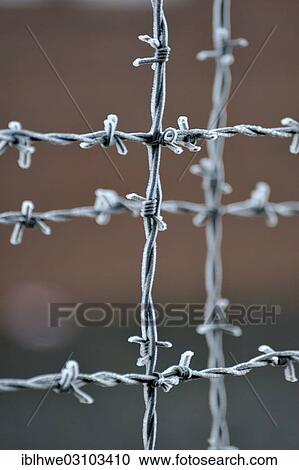 Stock Image - "Barbed wire, Neuengamme Concentration Camp Memorial, Neuengamme, Hamburg, Hamburg, Germany, Europe". Fotosearch