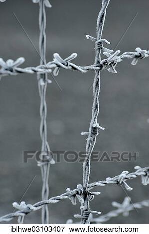 Stock Photo - "Barbed wire, Neuengamme Concentration Camp Memorial, Neuengamme, Hamburg, Hamburg, Germany, Europe". Fotosearch