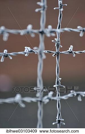 Stock Photo - "Barbed wire, Neuengamme Concentration Camp Memorial, Neuengamme, Hamburg, Hamburg, Germany, Europe". Fotosearch