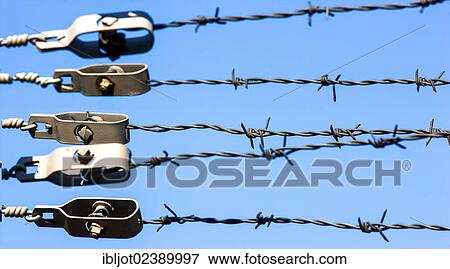 Barbed wire on a fence with clamps View Large Photo Image Stock Photo - Barbed wire on a fence with clamps. Fotosearch