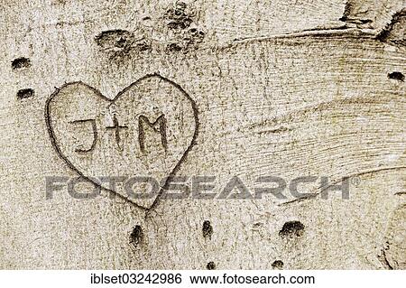 "Bark with carved letters and a heart, Austria, Europe" View Large Photo Image Stock Photograph - "Bark with carved letters and a heart, Austria, Europe". Fotosearch