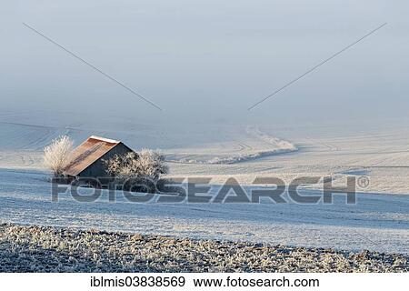 "Barn in a field, covered in hoarfrost at Witthoh ridge, Hegau, Baden-Wurttemberg, Germany, Europe" View Large Photo Image Stock Photo - "Barn in a field, covered in hoarfrost at Witthoh ridge, Hegau, Baden-Wurttemberg, Germany, Europe". Fotosearch