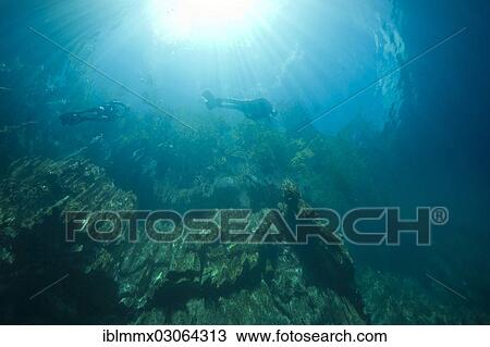 Stock Image - "Barracuda Lake, underwater shot, Bancuan, Naturschutzgebiet Coron, Calamian Islands, Palawan, Mimaropa, Philippines, Asia". Fotosearch