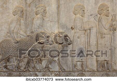 "Bas-relief, Libyans bringing animals and fabrics as a tribute, ancient Persian city of Persepolis, UNESCO World Heritage Site, Fars Province, Iran, Asia" View Large Photo Image Stock Image - "Bas-relief, Libyans bringing animals and fabrics as a tribute, ancient Persian city of Persepolis, UNESCO World Heritage Site, Fars Province, Iran, Asia". Fotosearch