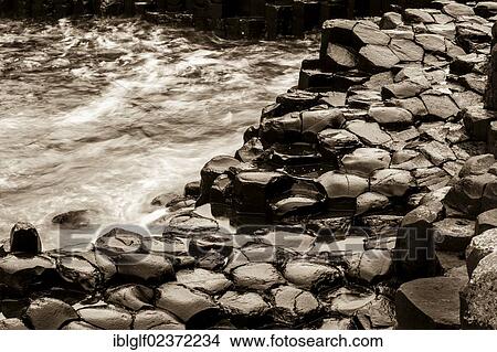 "Basalt rocks, Giant Causeway, Coleraine, Northern Ireland, United Kingdom, Europe" View Large Photo Image Picture - "Basalt rocks, Giant Causeway, Coleraine, Northern Ireland, United Kingdom, Europe". Fotosearch