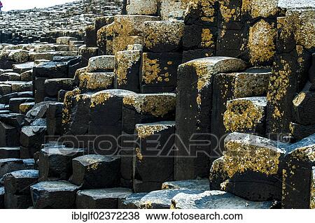 "Basalt rocks, Giant Causeway, Coleraine, Northern Ireland, United Kingdom, Europe" View Large Photo Image Stock Photo - "Basalt rocks, Giant Causeway, Coleraine, Northern Ireland, United Kingdom, Europe". Fotosearch