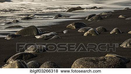 "Basalt stones at Reynisdrangar, Black Beach, Reynisdrangar, Vik i Myrdal, Southern Region, Iceland, Europe" View Large Photo Image Stock Photo - "Basalt stones at Reynisdrangar, Black Beach, Reynisdrangar, Vik i Myrdal, Southern Region, Iceland, Europe". Fotosearch