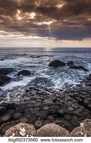 "Basaltic cliffs on the Atlantic coast, Giant's Causeway, Coleraine, Northern Ireland, United Kingdom, Europe" View Large Photo Image Stock Image - "Basaltic cliffs on the Atlantic coast, Giant's Causeway, Coleraine, Northern Ireland, United Kingdom, Europe". Fotosearch