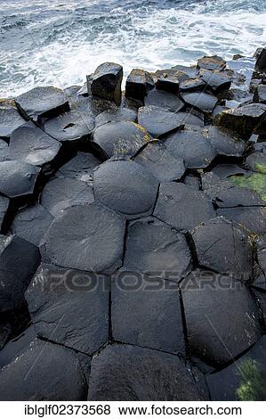 "Basaltic rocks, Giant's Causeway, Coleraine, Northern Ireland, United Kingdom, Europe" View Large Photo Image Stock Photo - "Basaltic rocks, Giant's Causeway, Coleraine, Northern Ireland, United Kingdom, Europe". Fotosearch