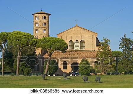 Stock Photography - "Basilica di SantÂ´Apollinare in Classe, UNESCO World Heritage Site, Ravenna, Adriatic, Emilia-Romagna region, Italy, Europe". Fotosearch