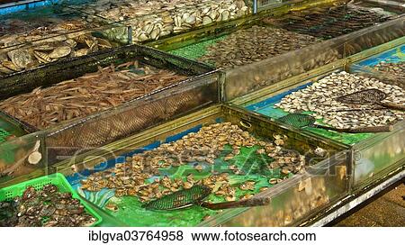 "Basins with live marine animals for sale, Sai Kung, Hong Kong, China, Asia" View Large Photo Image Stock Photo - "Basins with live marine animals for sale, Sai Kung, Hong Kong, China, Asia". Fotosearch