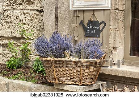 "Basket filled with lavender, Les Baux de Provence village, Bouches du Rhone, Provence, France, Europe" View Large Photo Image Stock Photography - "Basket filled with lavender, Les Baux de Provence village, Bouches du Rhone, Provence, France, Europe". Fotosearch