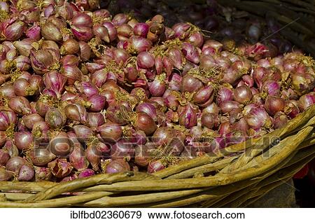 "Basket full of onions at local market, Madurai, India, Asia" View Large Photo Image Stock Photo - "Basket full of onions at local market, Madurai, India, Asia". Fotosearch