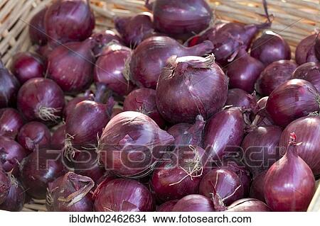 "Basket with red onions at a market stall, Dortmund, Ruhr area, North Rhine-Westphalia, Germany, Europe, PublicGround, Europe" View Large Photo Image Picture - "Basket with red onions at a market stall, Dortmund, Ruhr area, North Rhine-Westphalia, Germany, Europe, PublicGround, Europe". Fotosearch