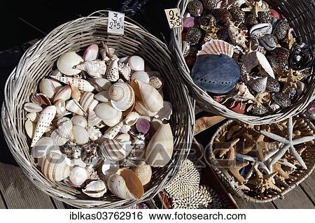 "Baskets of shells for sale, Rhodes, Rhodes island, Dodecanese, Greece, Europe" View Large Photo Image Stock Photograph - "Baskets of shells for sale, Rhodes, Rhodes island, Dodecanese, Greece, Europe". Fotosearch