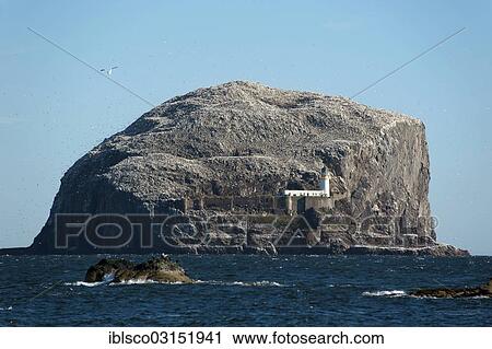 "Bass Rock or The Bass, bird island, North Berwick, East Lothian, Scotland, United Kingdom, Europe" View Large Photo Image Stock Image - "Bass Rock or The Bass, bird island, North Berwick, East Lothian, Scotland, United Kingdom, Europe". Fotosearch