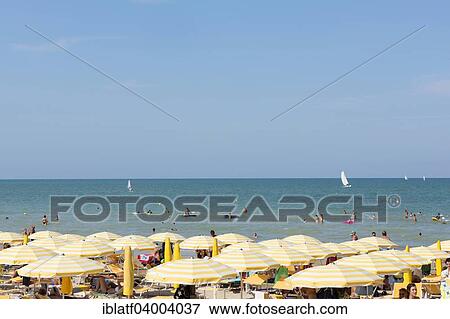 "Bathers and parasols on the beach, sea, Senigallia, Province of Ancona, Marche, Adriatic coast, Italy, Europe" View Large Photo Image Stock Photo - "Bathers and parasols on the beach, sea, Senigallia, Province of Ancona, Marche, Adriatic coast, Italy, Europe". Fotosearch