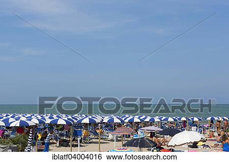 Stock Photograph - "Bathers and parasols on the beach, sea, Senigallia, Province of Ancona, Marche, Adriatic coast, Italy, Europe". Fotosearch