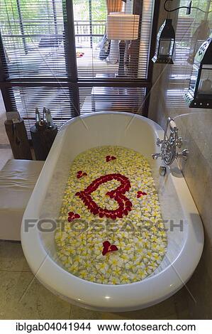 "Bathtub covered with flower petals, Ubud, Bali, Indonesia, Asia" View Large Photo Image Picture - "Bathtub covered with flower petals, Ubud, Bali, Indonesia, Asia". Fotosearch