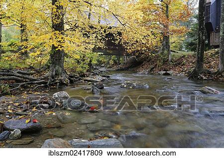 Battleground Covered Bridge in autumn, Mill Brook, Vermont, USA View Large Photo Image Stock Photo - Battleground Covered Bridge in autumn, Mill Brook, Vermont, USA. Fotosearch