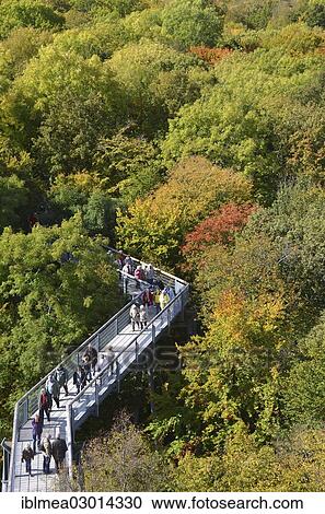 "Baumkronenpfad treetop trail in autumn, in the woods of the Hainich National Park, Hainich, Bad Langensalza, Thuringia, Germany, Europe" View Large Photo Image Stock Image - "Baumkronenpfad treetop trail in autumn, in the woods of the Hainich National Park, Hainich, Bad Langensalza, Thuringia, Germany, Europe". Fotosearch