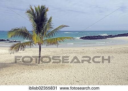 "Bay and beach in Puerto Villamil, Isabela Island, Galapagos Islands, UNESCO World Heritage Site, Ecuador, South America" View Large Photo Image Stock Image - "Bay and beach in Puerto Villamil, Isabela Island, Galapagos Islands, UNESCO World Heritage Site, Ecuador, South America". Fotosearch