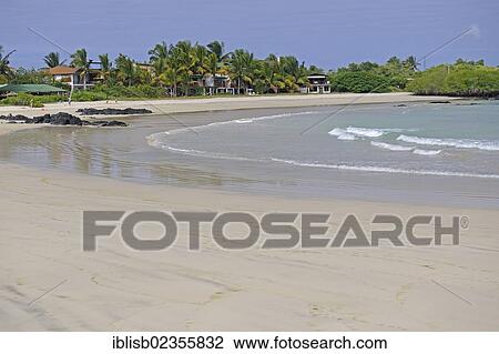 "Bay and beach in Puerto Villamil, Isabela Island, Galapagos Islands, UNESCO World Heritage Site, Ecuador, South America" View Large Photo Image Stock Image - "Bay and beach in Puerto Villamil, Isabela Island, Galapagos Islands, UNESCO World Heritage Site, Ecuador, South America". Fotosearch
