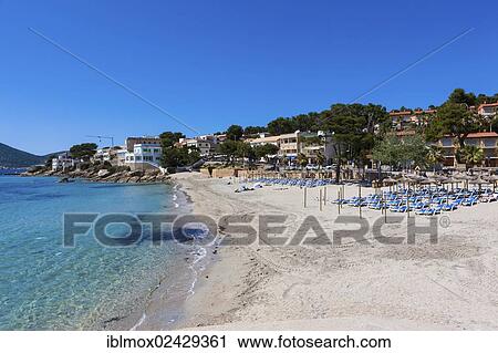 "Bay and beach of Sant Elm, municipality of Andratx, Sant Elm, Mallorca, Balearic Islands, Mediterranean Sea, Spain, Europe" View Large Photo Image Stock Image - "Bay and beach of Sant Elm, municipality of Andratx, Sant Elm, Mallorca, Balearic Islands, Mediterranean Sea, Spain, Europe". Fotosearch