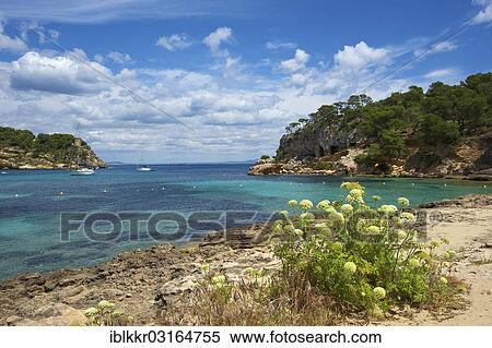 Stock Photography - "Bay Cala Portals Vells, Portals Vells, Cala Portals Vells, Portals Vells, Calvia, Majorca, Balearic Islands, Spain, Europe". Fotosearch