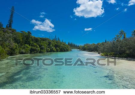 "Bay de Oro, Ile des Pins, New Caledonia, France, Oceania" View Large Photo Image Stock Photo - "Bay de Oro, Ile des Pins, New Caledonia, France, Oceania". Fotosearch