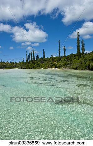 "Bay de Oro, Ile des Pins, New Caledonia, France, Oceania" View Large Photo Image Stock Photo - "Bay de Oro, Ile des Pins, New Caledonia, France, Oceania". Fotosearch
