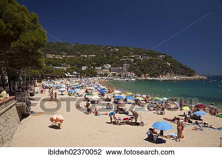 "Beach and Bay of Llafranc, Calella de Palafrugell, Costa Brava, Catalonia, Spain, Europe, PublicGround, Europe" View Large Photo Image Stock Image - "Beach and Bay of Llafranc, Calella de Palafrugell, Costa Brava, Catalonia, Spain, Europe, PublicGround, Europe". Fotosearch