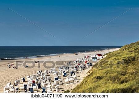 "Beach and dunes, Wenningstedt, Sylt, North Frisia, Schleswig-Holstein, Germany, Europe" View Large Photo Image Stock Image - "Beach and dunes, Wenningstedt, Sylt, North Frisia, Schleswig-Holstein, Germany, Europe". Fotosearch