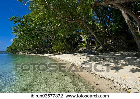 "Beach, Aore Island, Sanma Province, Vanuatu, Oceania" View Large Photo Image Stock Image - "Beach, Aore Island, Sanma Province, Vanuatu, Oceania". Fotosearch