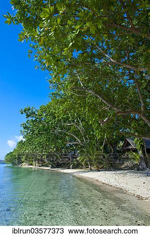 "Beach, Aore Island, Sanma Province, Vanuatu, Oceania" View Large Photo Image Stock Image - "Beach, Aore Island, Sanma Province, Vanuatu, Oceania". Fotosearch