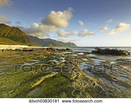 "Beach at Ka'ena Point State Park, Oahu, Hawaii, United States, North America" View Large Photo Image Stock Image - "Beach at Ka'ena Point State Park, Oahu, Hawaii, United States, North America". Fotosearch