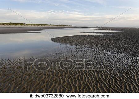 "Beach at low tide, English Channel, Cote d'Opale, Le Touquet-Paris-Plage, Departement Pas-de-Calais, Nord-Pas-de-Calais region, France, Europe" View Large Photo Image Stock Image - "Beach at low tide, English Channel, Cote d'Opale, Le Touquet-Paris-Plage, Departement Pas-de-Calais, Nord-Pas-de-Calais region, France, Europe". Fotosearch