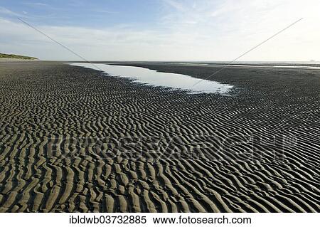 Beach At Low Tide English Channel Cote Dâopale Le