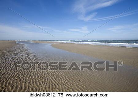 Beach At Low Tide Lower Saxon Wadden Sea National Park Borkum