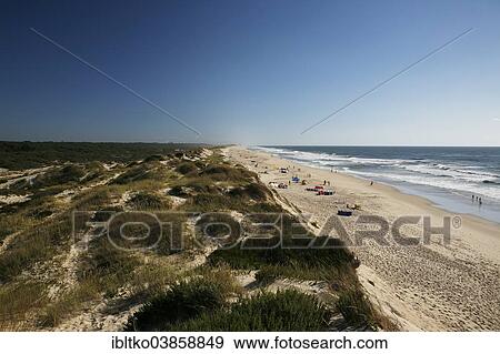 "Beach, Atlantic coast, near Figueira da Foz, Coimbra District, Portugal, Europe" View Large Photo Image Stock Photo - "Beach, Atlantic coast, near Figueira da Foz, Coimbra District, Portugal, Europe". Fotosearch