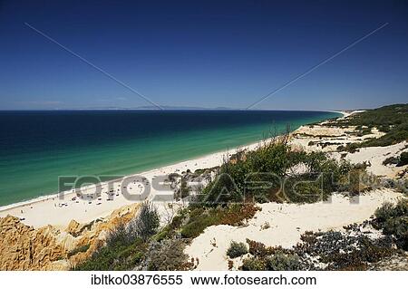 "Beach, Atlantic coast, near Melides, Portugal, Europe" View Large Photo Image Stock Photography - "Beach, Atlantic coast, near Melides, Portugal, Europe". Fotosearch