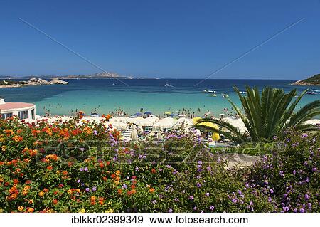 "Beach, Baia Sardinia, Sardinia, Italy, Europe" View Large Photo Image Stock Photo - "Beach, Baia Sardinia, Sardinia, Italy, Europe". Fotosearch